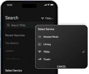 BluOS App access music libraries screenshot