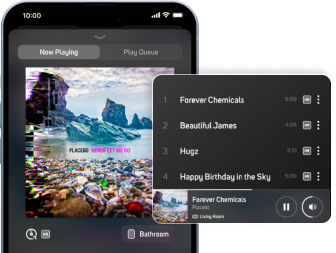 BluOS App access music library with artworks screenshot