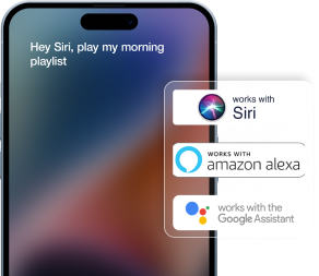 BluOS app connection with siri, alexa, and google assistant