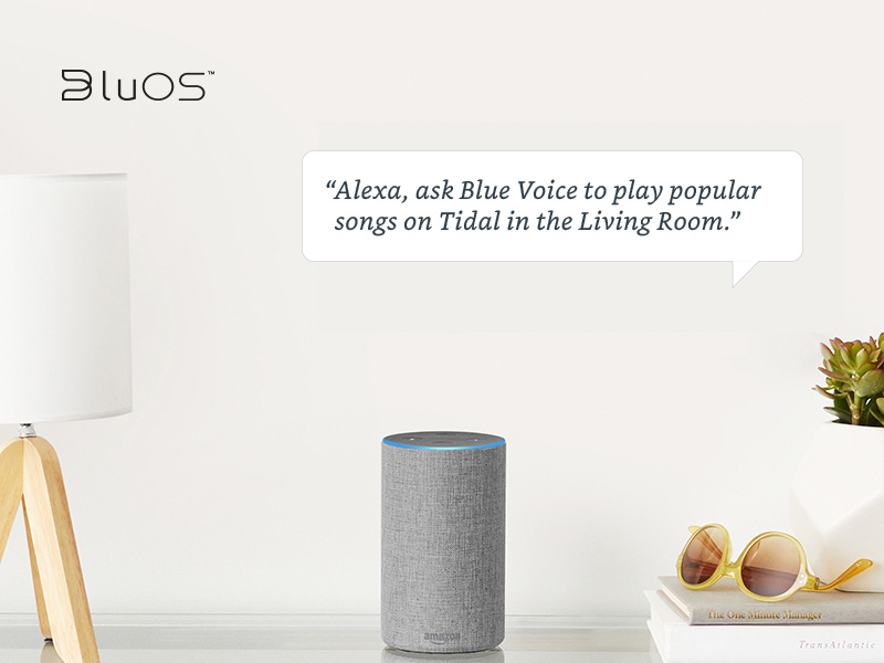 Alexa echo speakers with voice bubble integrated with BluOS app.